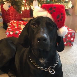 Meet your Posher, Karen